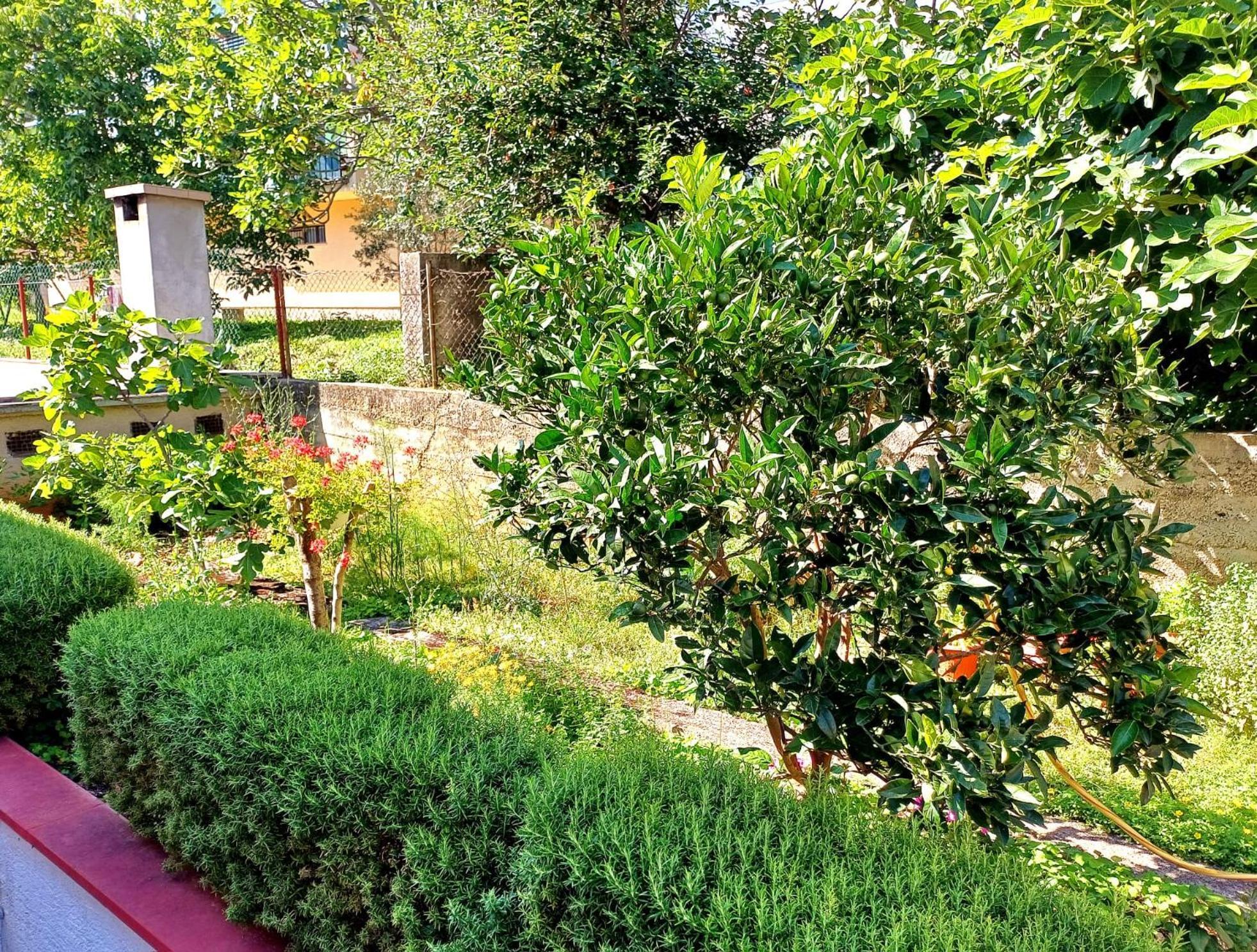Adria Crikvenica Exterior foto